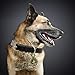 FunTags Bronze Breeds Customized Dog Head 3D Effect Dog ID Tag,High-Relief Copper Dog Tag,Personalized Stainless Steel Front&Back Laser Engraving Dog Name Tag,German Shepherd Tag