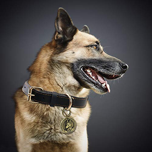 FunTags Bronze Breeds Customized Dog Head 3D Effect Dog ID Tag,High-Relief Copper Dog Tag,Personalized Stainless Steel Front&Back Laser Engraving Dog Name Tag,German Shepherd Tag