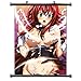High School DxD Anime Fabric Wall Scroll Poster (16