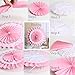 RiscaWin Set for Decoration Paper Fan,Tissue Paper Pom Poms ,Paper Lanterns,Honeycomb Balls (Set of 9) Blue