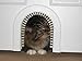 Cat Door - The Original Cathole Interior Pet Door - The Only Cat Door With A Cleaning / Grooming Brush. primary