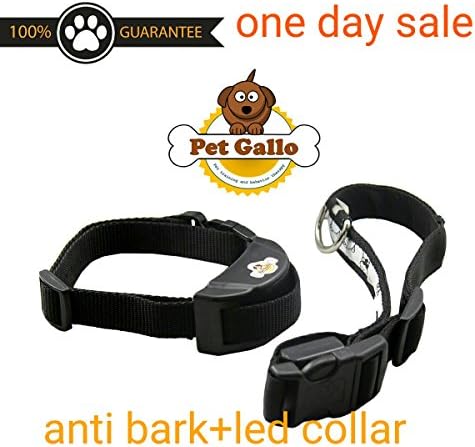 ONE DAY SALE' Dog No Bark Collar, by pet gallo, Electric Anti Bark No Harm Shock Control with 7 adjustable levels. safe for 12 to120 pound dogs, Free Bonus led collar + eBook