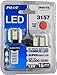 Pilot Automotive (IL-3157W-15-AM) White 15-SMD LED Turn/Tail Light Bulb - 2 Piece