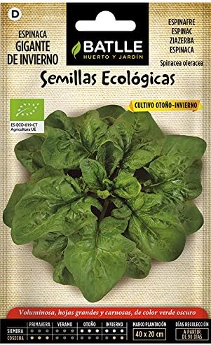 Semillas Ecológicas Hortícolas - Espinaca Gigante de Invierno ...