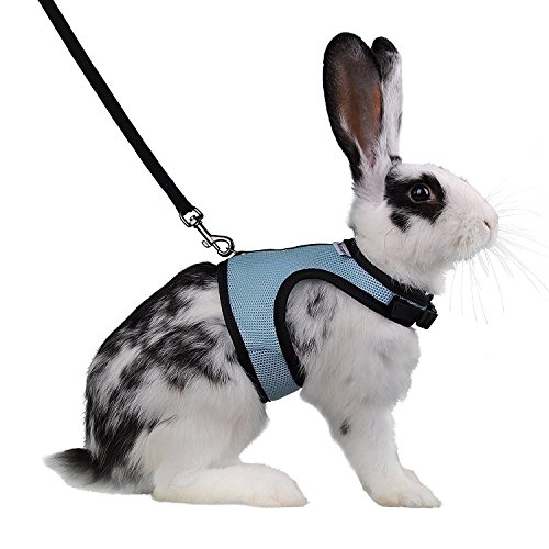 Niteangel Adjustable Soft Harness with Elastic Leash for Rabbits (XL, Blue)