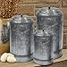 Coastal Space Designs Antique Style Galvanized Metal Lidded Rustic Canister, Set of Three Farmhouse Home Decor Accents