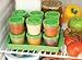 Baby Food Storage Containers w Write What You Want Lids (12 Pk) - 2oz Reusable Leakproof Plastic Jars & Tray- Freezer, Microwave & Dishwasher Safe- BPA/PVC Free, Compatible w Bullet Blender, Gift