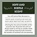 Our Own Candle Company Soy Wax Aromatherapy Candle, Simply Sage, 6.5 Ounce