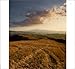 Hugh Johnson's Tuscany and Its Wine