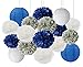 Furuix Bridal Shower Decorations 16 pcs White Navy Blue Grey 10inch 8inch Tissue Paper Pom Pom Paper Lanterns Mixed Package for Blue Themed Party Baby Shower Decoration (White Navy Blue)