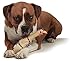 Outward Hound by Charming Pet Squawkers Grandma Hippie Chick Latex Squeaky Rubber Chicken Dog Toy, Funny Interactive Holiday Toy for Dogs, Large Size