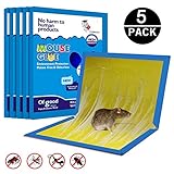 Mouse Glue Boards, Mouse Glue Traps,Mouse Glue Trap, Mouse trap, JCHOPE Mouse Size Glue Traps Sticky Boards, Professional Strength Glue (5 Pack)