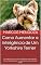 Livro Como Aumentar a Inteligência de Um Yorkshire Terrier: Um Yorkshire Terrier Mais Inteligente é Um Yorkshire Terrier Mais Obediente - Como Adestrar Um Yorkshire Terrier