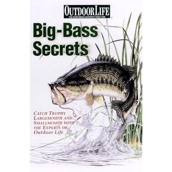 Largemouth Bass Presentation: Dynamic Lure Trends That Boat Bass