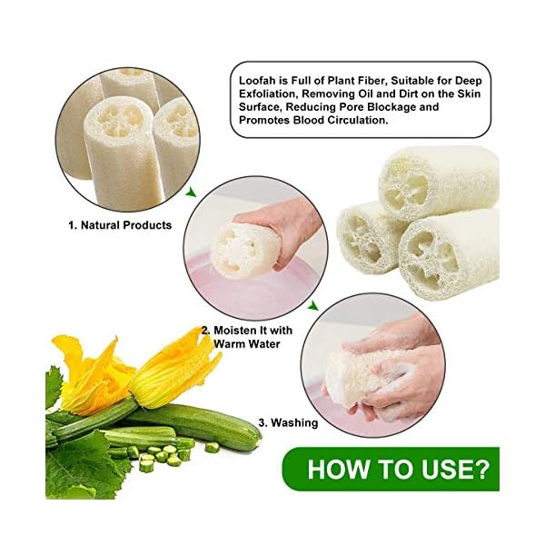 6-PCS-Natural-Loofah-Exfoliating-Luffa-Natural-Loofah-Sponge-Body-Scrubber-for-Bathing-and-Back-Caring-Spa-4-inch-Length-Organic-Loofah-Loofahs-Sponges-for-Shower-Scrubbing-and-Kitchen-Cleaning 6 Pcs Natural Loofah, Exfoliating Luffa Natural Loofah Sponge Body Scrubber For Bathing And Back Caring Spa, 4 Inch…