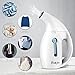 Balight Portable Steamers for Clothes,Wrinkle Remover with Auto Shut-Off,Fast Heat-up Function,Clothes Steamers Safe Use for Travel and Home,180ml White