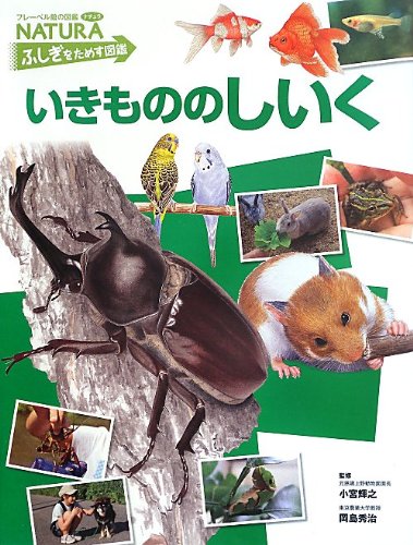 いきもののしいく フレーベル館の図鑑naturaふしぎをためす図鑑 秀治 岡島 輝之 小宮 本 通販 Amazon