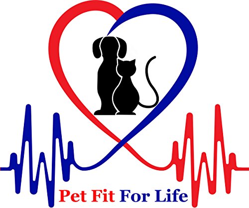 Pet Fit For Life 3 Soft Strands with Feathers Teaser and Exerciser For Cat and Kitten - Cat Toy Interactive Cat Wand