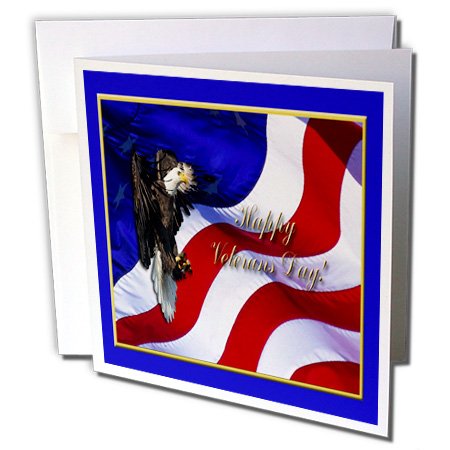 3dRose Veterans Day Bald Eagle with American Flag - Greeting Cards, 6 x 6 inches, set of 12 (gc_20162_2)