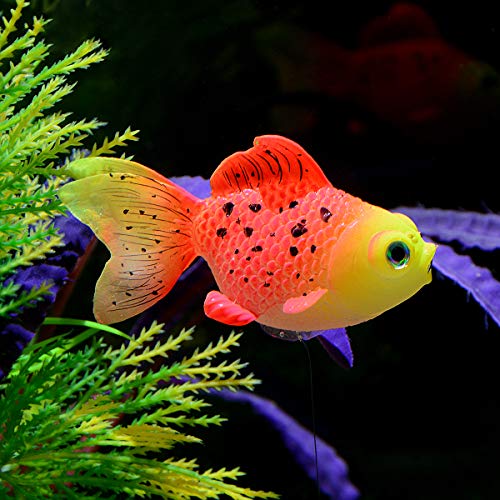 moving aquarium decorations