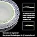 Croch Weight Forward Fly Fishing Line WF 3F 4F 5F 6F 7F 8F 100ft + Backing Line + 9ft Leader