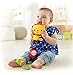 Fisher-Price Linkin' Play Pals Toy