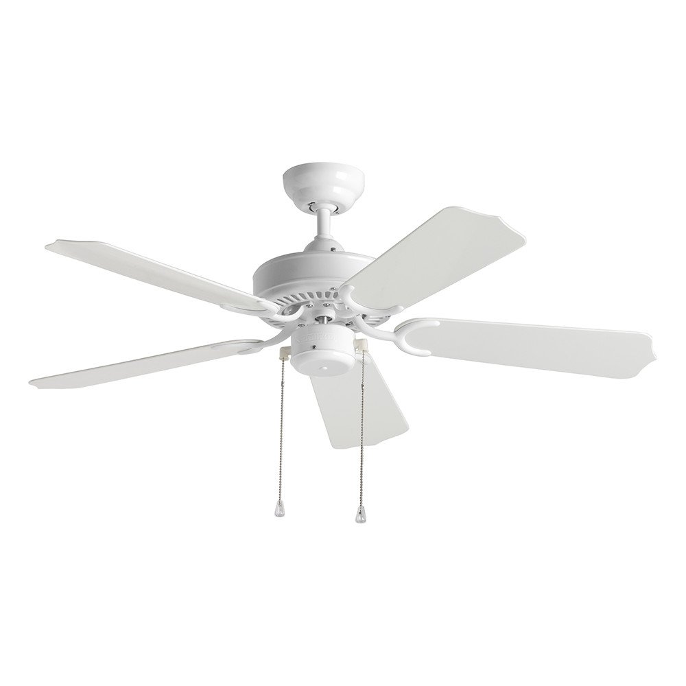 Ceiling Fans