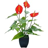 DODXIAOBEUL 16.1'' Artificial Potted Flowers Anthurium Artificial Plant Bonsai Fake Tropical Greenery Plant,for Indoor Outside Home Garden Office Deck Porch Wedding Decorations,Red