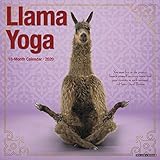 Llama Yoga 2020 Wall Calendar by