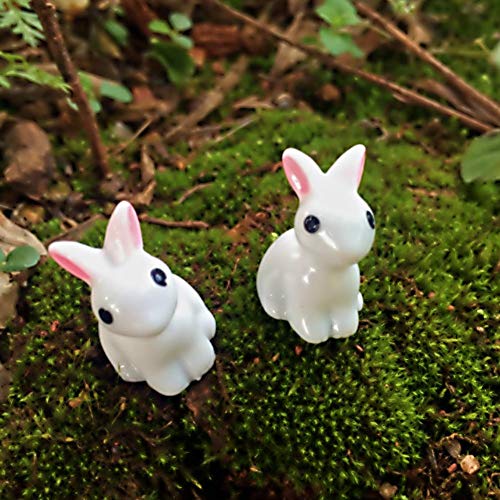 Tokenhigh 103 Stück Miniatur Ornament Set für DIY Mini Craft für Garten Zubehör Puppenhaus Dekoration Kinder Miniatur… – Bild 6