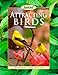 Attracting Birds by Sunset Books, Phyllis Elving
