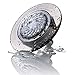 Speakman S-4002 Reaction Single-Function Showerhead for Stylish Bathroom Décor, 2.5 GPM, Clear Smokey Gray