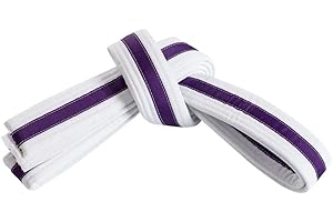 MASTERY MARTIAL ARTS Mastery Tiny Tigers