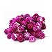 TooGet Fragrant Dried Flowers and Herbs Accessories Decorations 9 Bags Set Dry Flowers for Soap Bath Bombs Making and Dried Flower Crafts