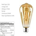 Incandescent and led s14 ST64 string lights