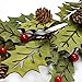 VGIA 18 Inch Christmas Wreath Greenwood Winter Wreath with Berries and Pine Cones Christmas Decorations