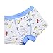 Czofnjesi Boys Breathable Dinosaur Car Cotton Boxer Brief Underwear Sets (Car, 2-4T)