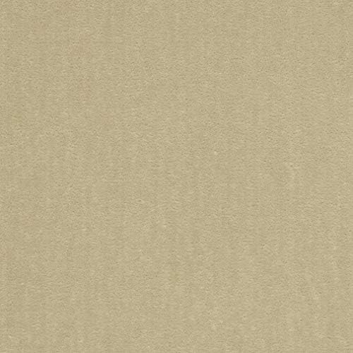 Beige Tan Taupe Plain Solid Velvet Fade Resistant Upholstery Fabric by the yard