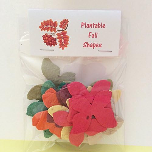 Bag of 24 Plantable Autumn Butterflies
