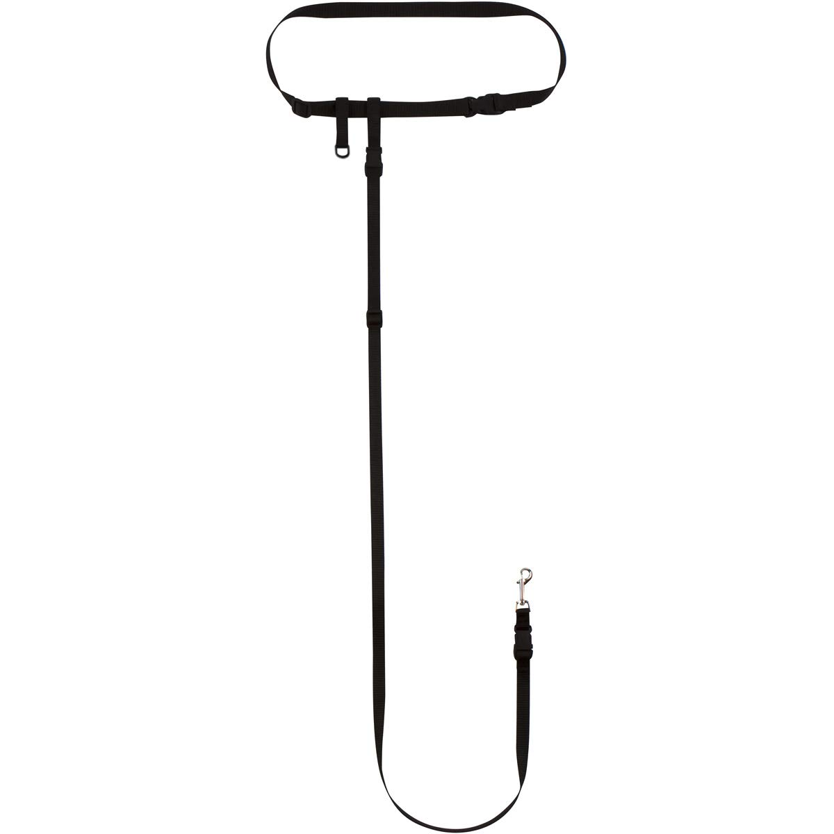 The Buddy System, Small Dog