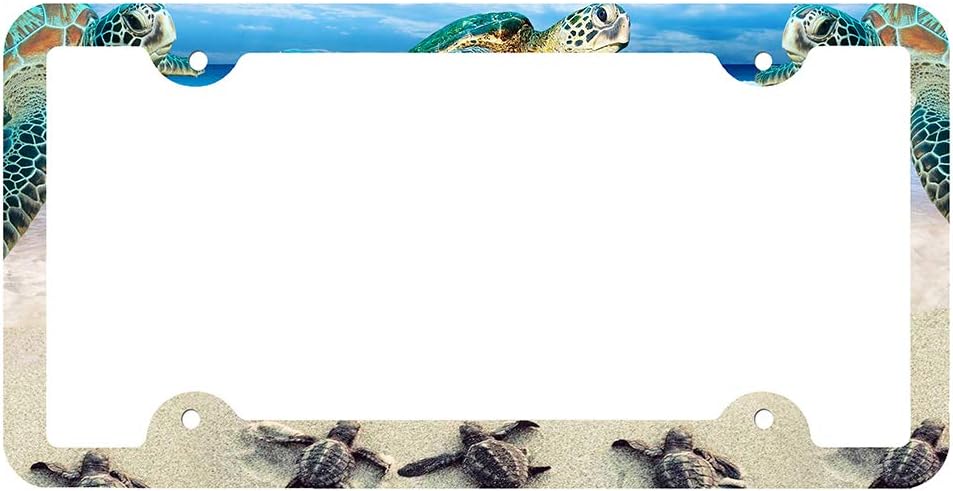 Sea Turtle License Plate Frame