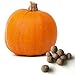 5 Pumpkin Seed Balls (Connecticut Field)- Herb & Vegetable Seed Bombs to make gardening fun and simple!