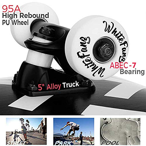 WhiteFang-Skateboards-for-Beginners-Complete-Skateboard-31-x-788-7-Layer-Canadian-Maple-Double-Kick-Concave-Standard-and-Tricks-Skateboards-for-Kids-and-Toddles