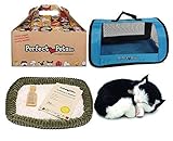 Perfect Petzzz Black and White Shorthair Kitten Plush with Blue Tote For Plush Breathing Pet