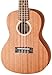 Protege by Cordoba U100CM Concert Ukulele (Amazon Exclusive) (Protégé by Cordoba U100CM)