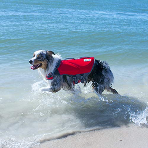 Outward Hound Dawson Swim Red Dog Life Jacket, XS in Oman Whizz