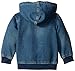 Levi's Baby Boys Hoodie, Waverly, 18M