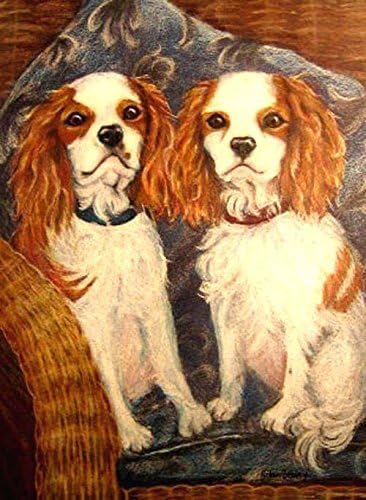 Cavalier King Charles Spaniel Portrait in Colored Pencil, or any breed, 8" x 10"