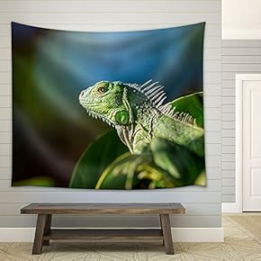 Closeup of Flying Dragon - Fabric Wall Tapestry Home Decor - 51x60 inches