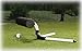 Sowerwine Golf Inside Approach Golf Swing Training with DVD Instruction